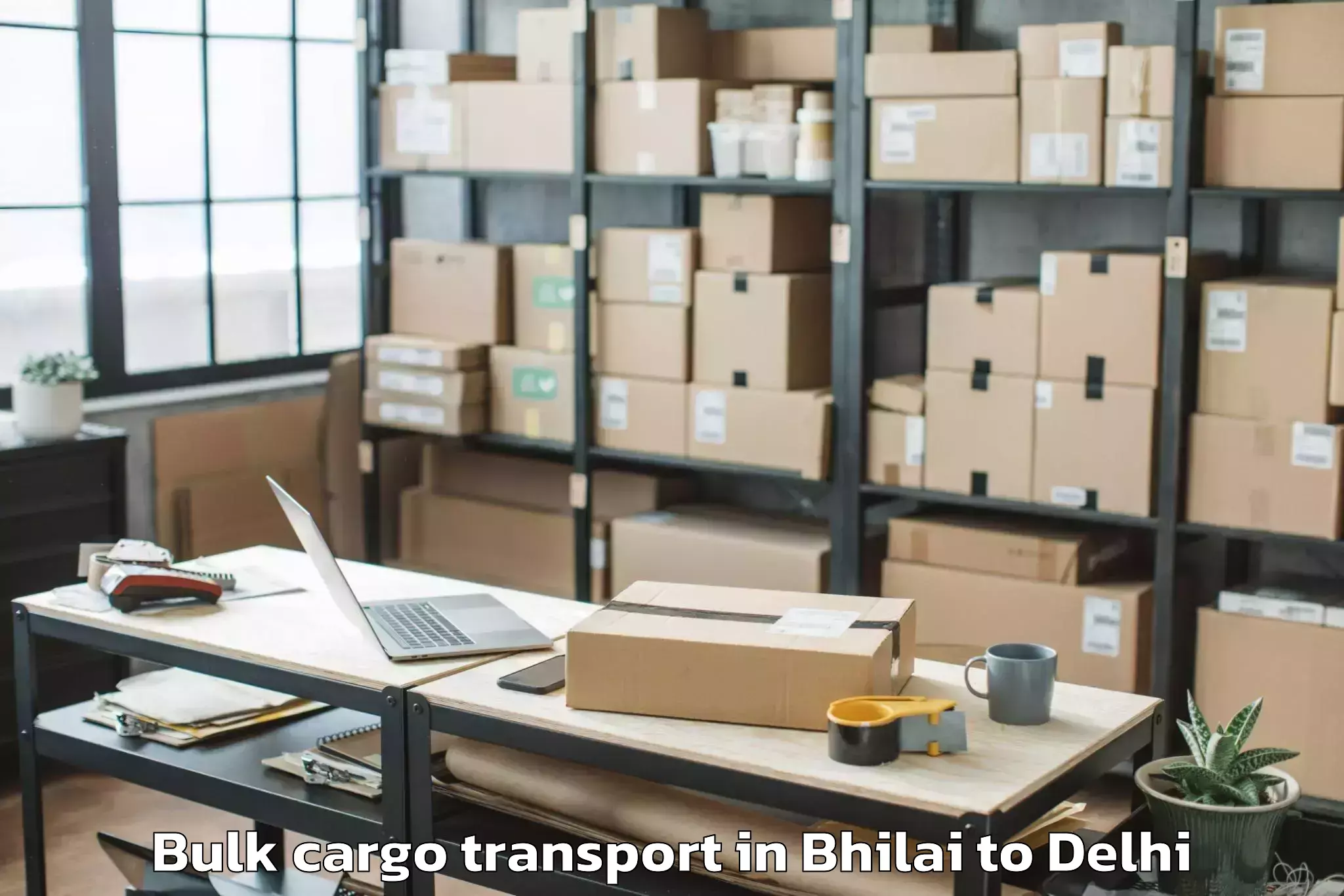 Book Bhilai to Delhi Bulk Cargo Transport Online